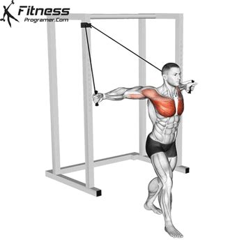 Resistance Band Alternating Chest Fly » Workout Planner