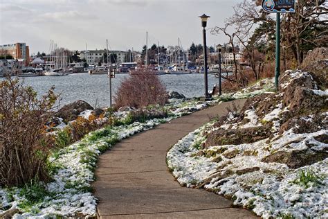 Victoria Daily Photo: Snow!