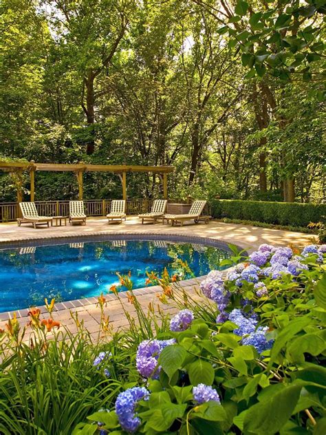 Poolside Garden With Blue Hydrangeas (With images)