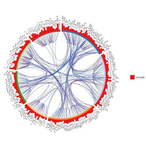 Brain Data Viewer