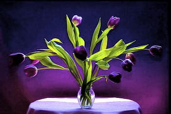 Tulips, purple, yellow, easter, flowers, spring, eggs HD wallpaper | Pxfuel