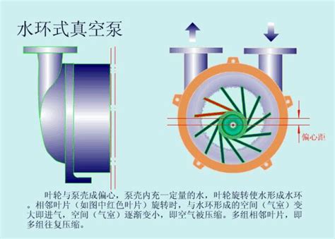 Water Ring Vacuum Pump Analysis- Vacuum Pump - EVP Vacuum Solution!