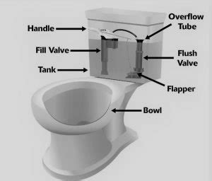 8 Different Types of Toilet Flush Systems-Which is the Best? - Toilet Haven