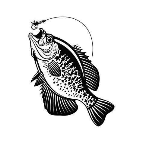 Crappie Vector Stock Illustrations – 168 Crappie Vector Stock Illustrations, Vectors & Clipart ...