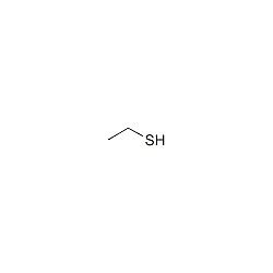 Ethanethiol | C2H6S | 676603 | 75-08-1