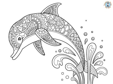 Dolphin Detailed Coloring Page - Treasure hunt 4 Kids