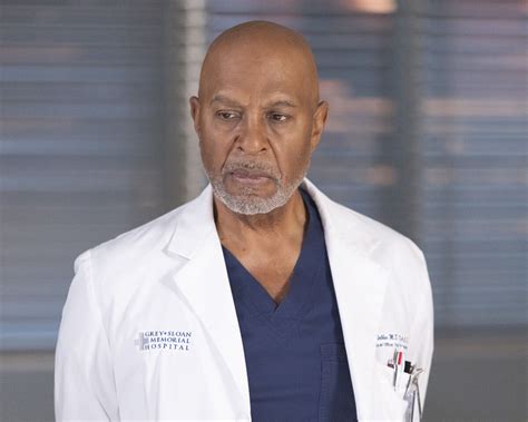 Richard Webber | Grey's Anatomy Universe Wiki | Fandom