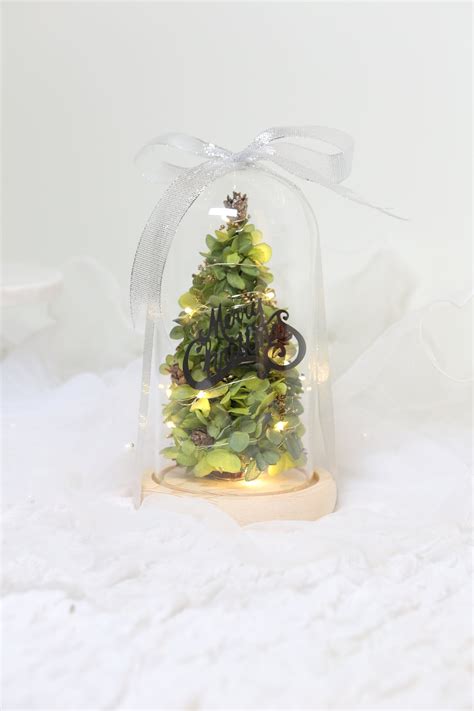 Preserved Flower Glass Dome With LED for Christmas - Etsy