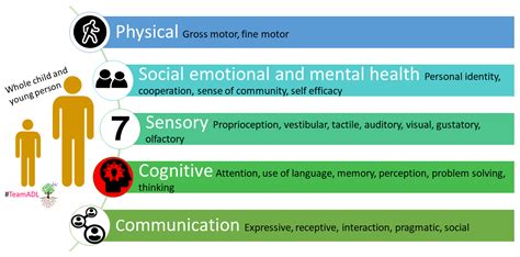 Cognition and Learning