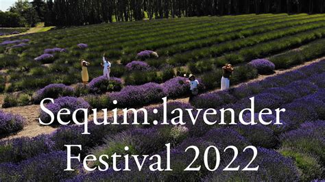 Sequim: lavender Festival 2022 - YouTube