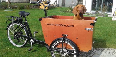 Babboe Dog Cargo Bike for dogs | The transport device for dogs | Babboe | Biking with dog, Cargo ...