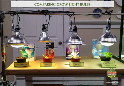 Grow Lights For Beginners: Start Plants Indoors | The Foodie Gardener™