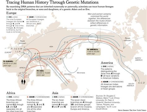 The Science Behind Our DNA Testing