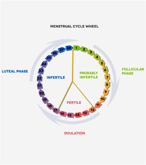 Luteal Phase Defect: What It Is, Symptoms And Treatment