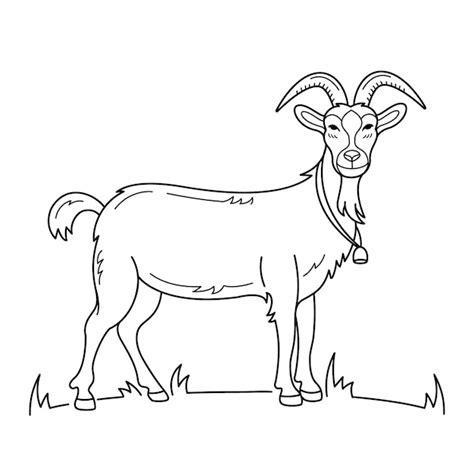 Goat Outline Images - Free Download on Freepik