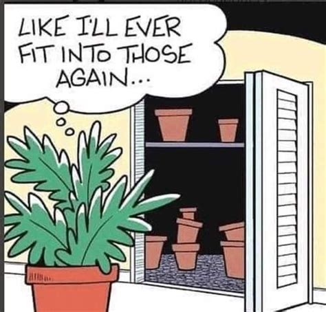 Pin by Katie Shelton on gardening memes | Plant jokes, Gardening memes, Memes