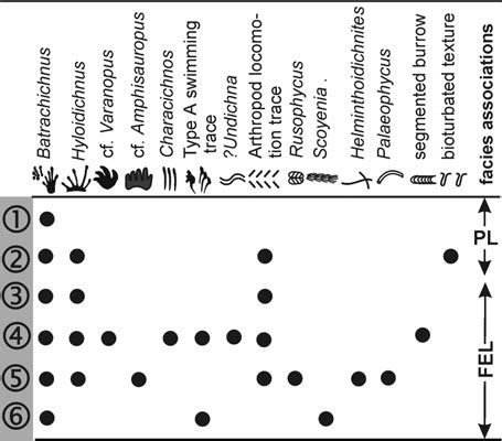 Summary of trace fossil composition and facies associations for the... | Download Scientific Diagram