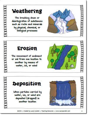 Laura Candler's Science File Cabinet for Teachers | Science teaching resources, Teaching science ...