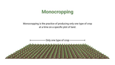 Monocropping | BioRender Science Templates