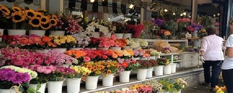 Flower Shops in Dubai | Flower shop, Flowers, Flower delivery service