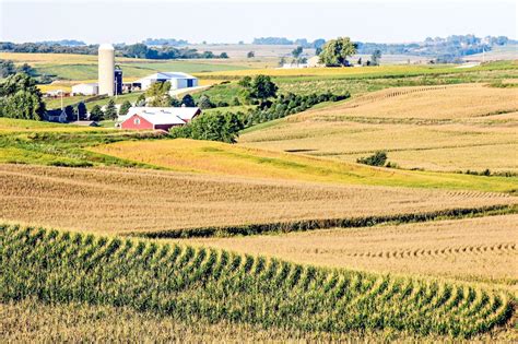 Iowa farmland values at all-time high | News | nwestiowa.com