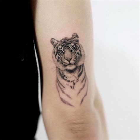 15+ Small Tiger Tattoo Design & Ideas