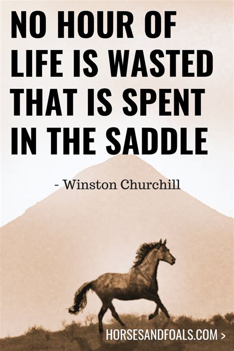 17 Inspirational Horse Quotes That You Will Love [With Images]