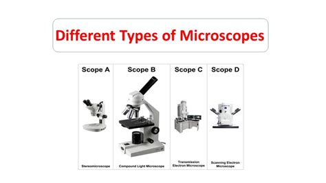 Types of electron microscope - Microbiology Notes