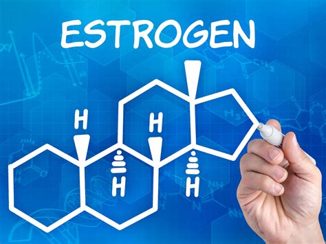 Estrogen and Cancer (And How Diet Reduces Risk)