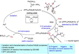 Mechanistic studies of the palladium-catalyzed S,O-ligand promoted C–H olefination of aromatic ...