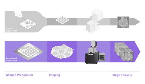 Sample preparation in electron microscopy: from bottleneck to automated ...