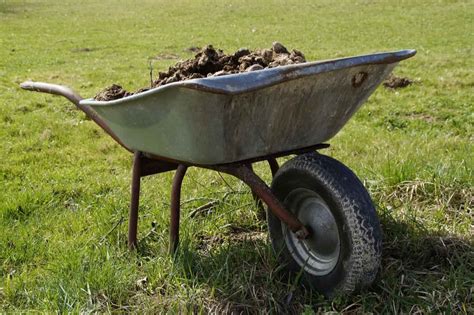 How to Make Sheep Manure Compost: A Step-by-Step Guide to Using in Your Garden