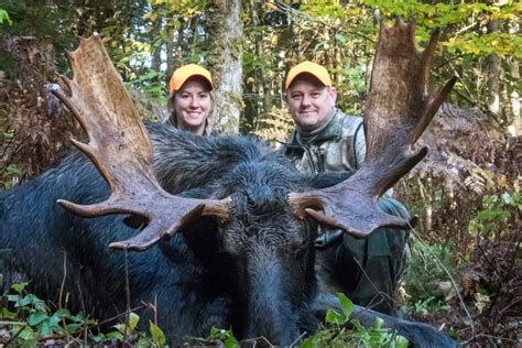 Maine Moose Hunting Outfitter & Guide, WMD 1,2,4,5,11