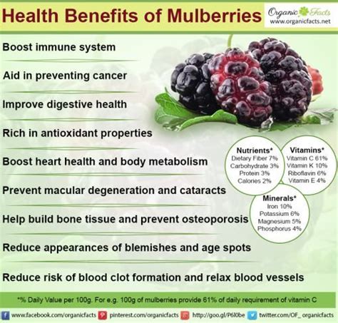 Mulberry Tree Benefits - Twin Fruit