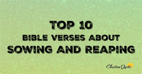 Top 10 Bible Verses About Sowing And Reaping | ChristianQuotes.info