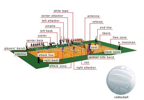 Volleyball Court Volleyball Rules And Regulations With Pictures