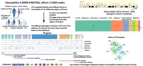 Genes | Free Full-Text | Spectrum of Causative Mutations in Patients with Hemophilia A in Russia