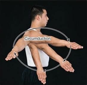 Physical Therapy Exercises: circumduction Exercise