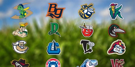 Unique facts about the 16 teams of the Midwest League | MiLB.com