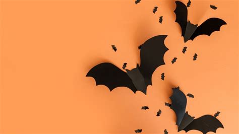 Bat-tastic: It’s National Bat Week and the National Park Service is celebrating – NBC Los Angeles