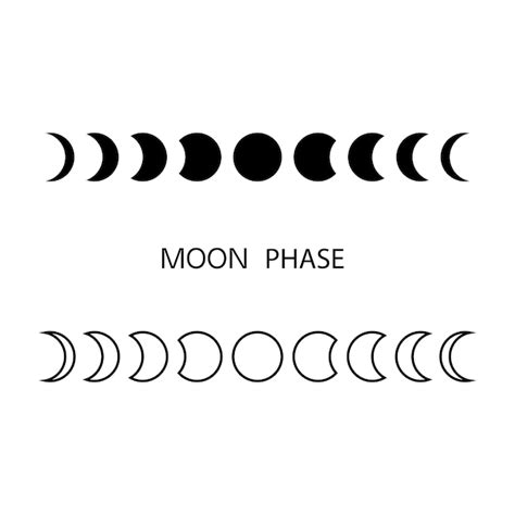 Premium Vector | Vector moon phases in black and white colors