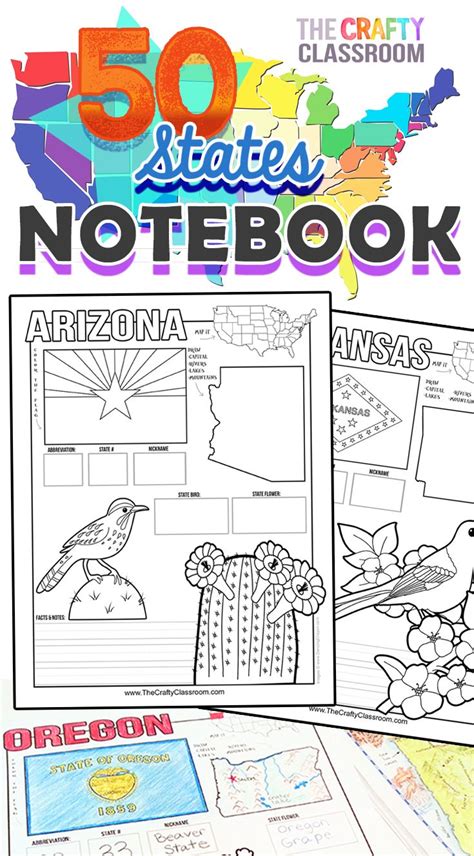 50 States Activity Notebook | 50 states activities, Homeschool social ...