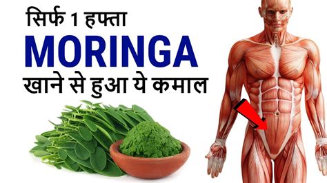 Moringa In Hindi | Hot Sex Picture