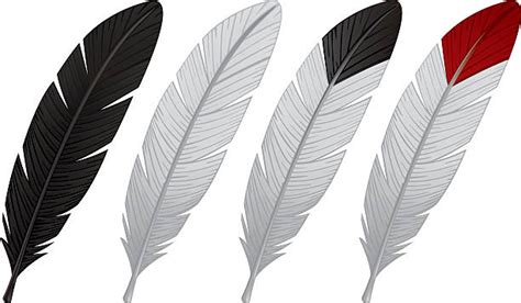 18,100+ Eagle Feather Stock Illustrations, Royalty-Free Vector Graphics & Clip Art - iStock