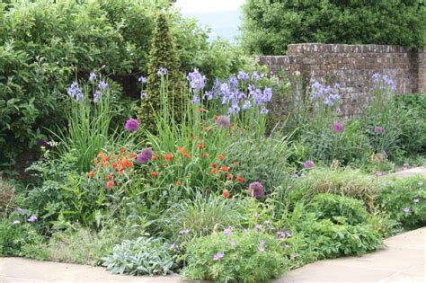 Herbaceous Border Design and Planting | Purely Planting