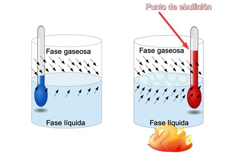 Punto de Ebullición: qué es, definición y temperatura (agua, alcohol, etc.) - Química ...