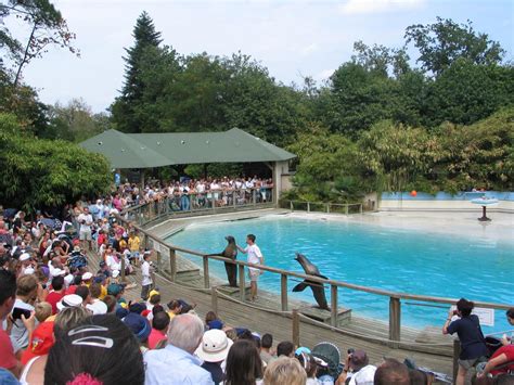 Horaires et tarifs du zoo de La Flèche | Vallée du Loir Tourisme - Préparez vos vacances