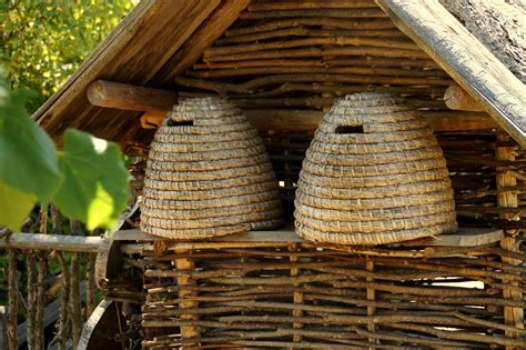 Ruches traditionnelles et ruches à cadres - ICKO Apiculture - BLOG