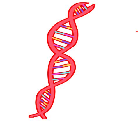 SciDraw | Scientific Drawings