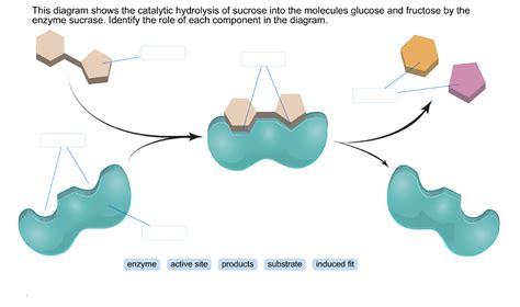 Chemistry Archive | April 10, 2017 | Chegg.com